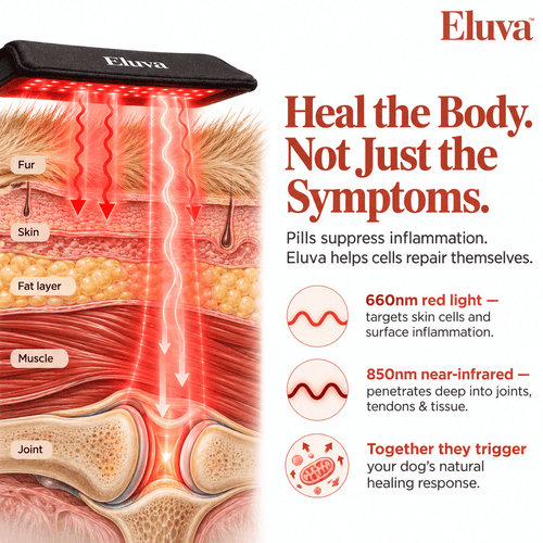 Eluva Red Light Pad