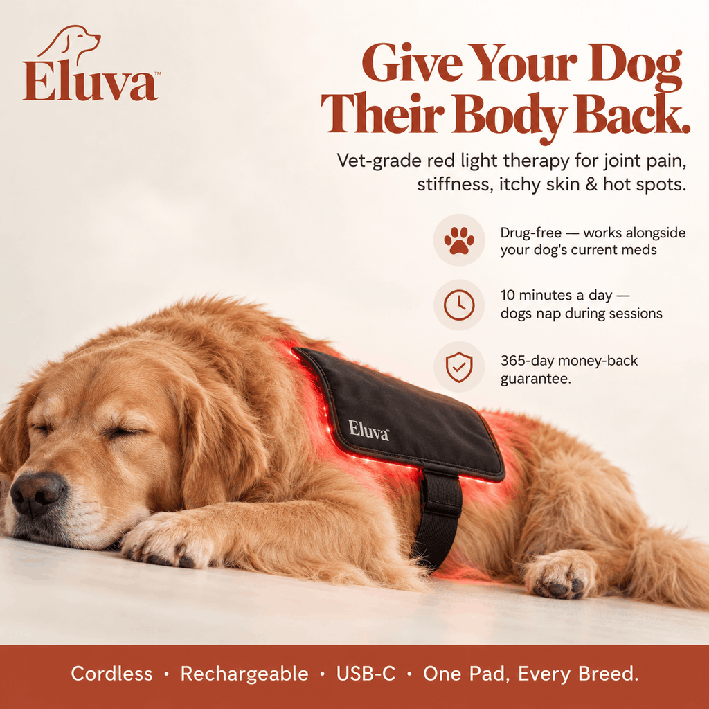 Eluva Red Light Pad