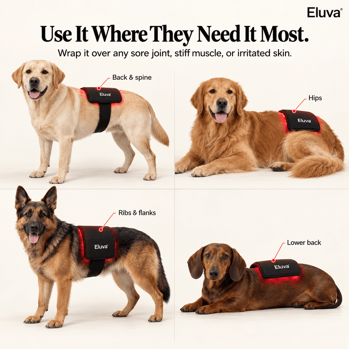 Eluva Red Light Pad