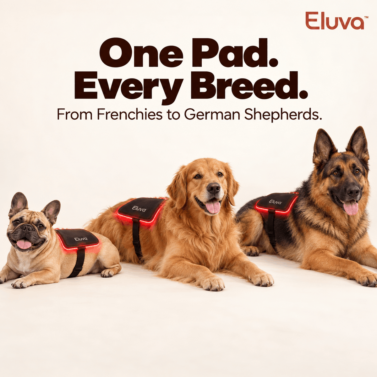 Eluva Red Light Pad