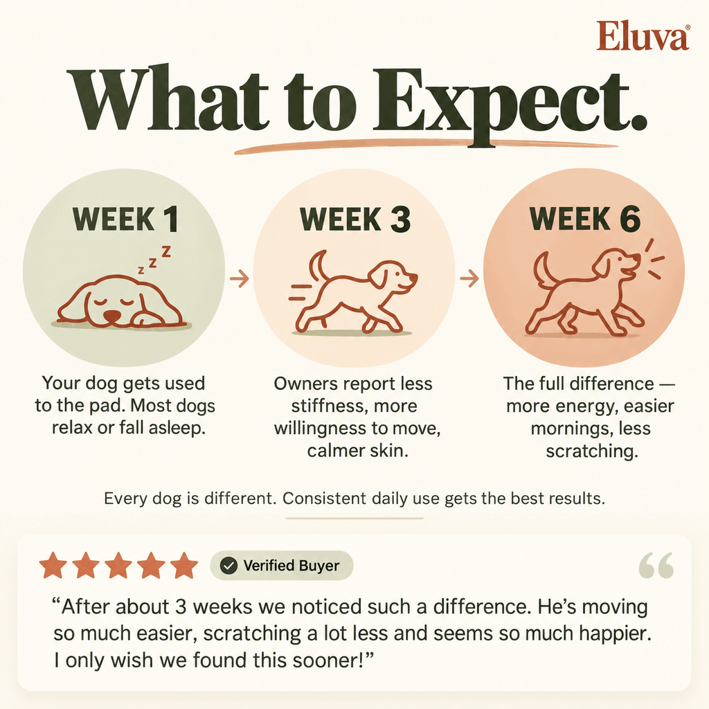 Eluva Red Light Pad